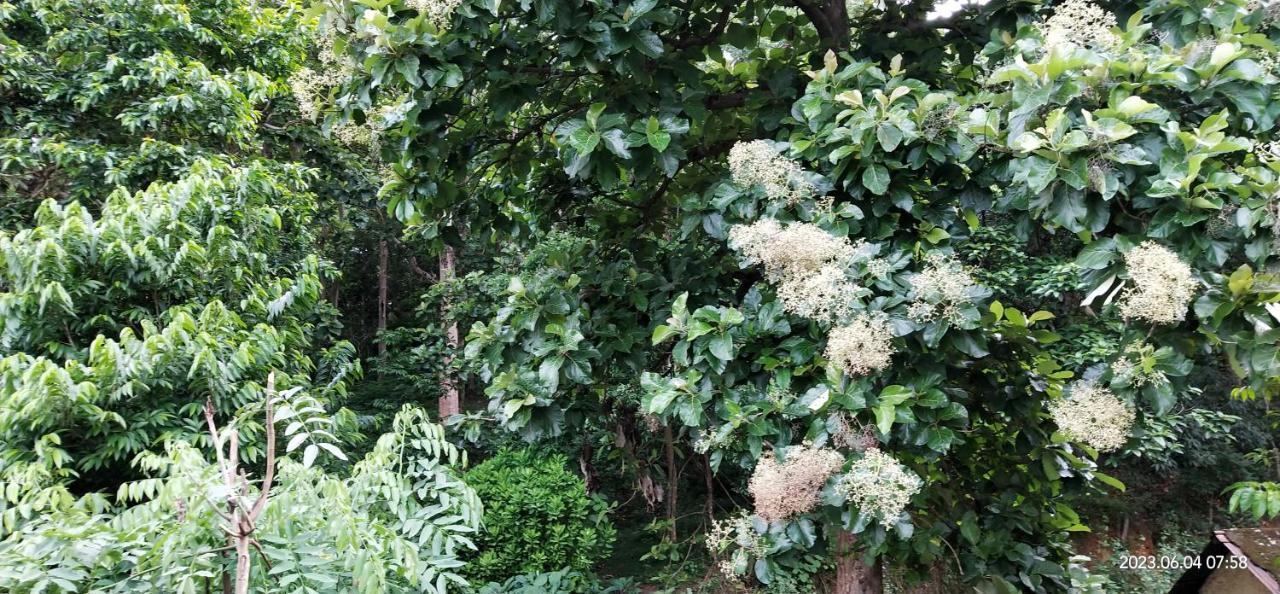 Floral Homestay Thekkady Bagian luar foto