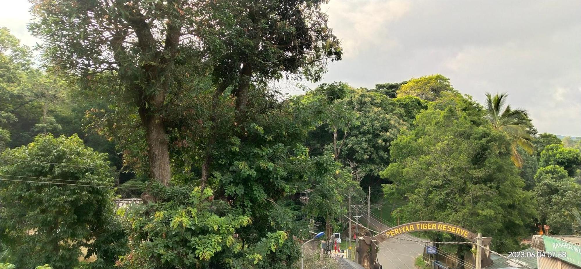 Floral Homestay Thekkady Bagian luar foto