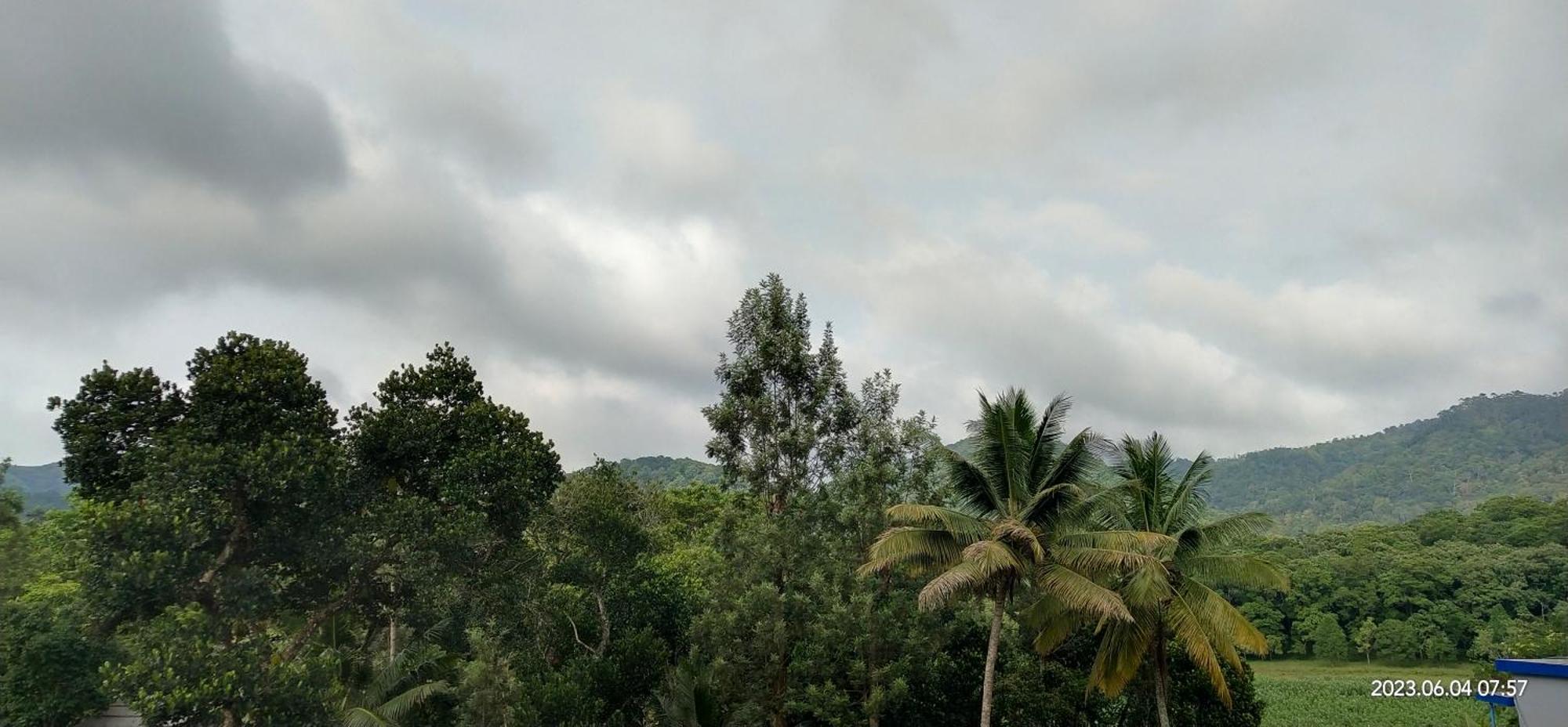 Floral Homestay Thekkady Bagian luar foto